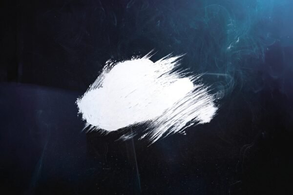 Novelists – CODA