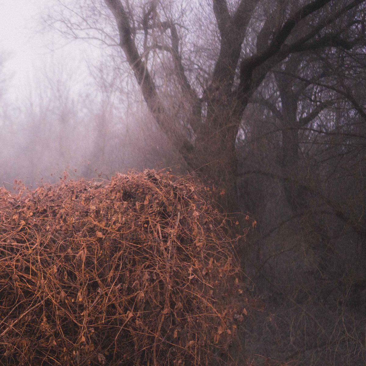 The Devil’s Trade - Nincs Szennyezetlen Szép